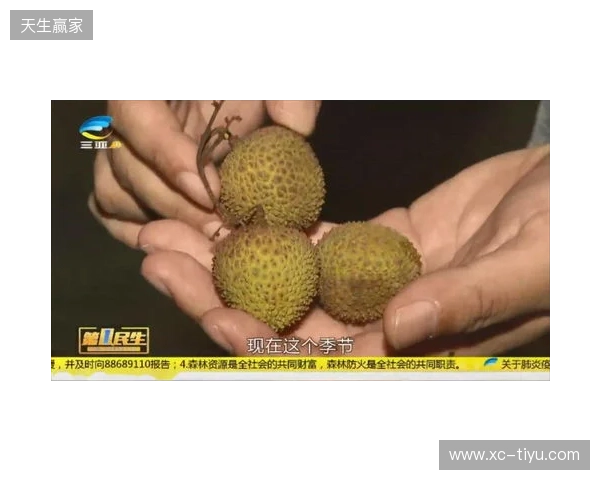 穆德里克因车窗贴膜颜色过深被拦下后，被发现禁驾期内驾驶